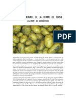 patate.pdf