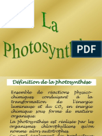 La Photosynthèse