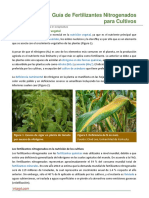 106. Guia de Fertilizantes Nitrogenados para Cultivos(1).pdf