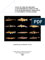 Catalogue catfish pdf.pdf