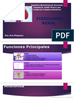 Fisiologia Renal