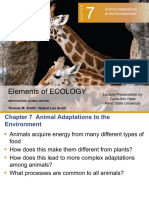 Ecology Presentation 2