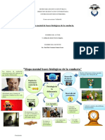 Mapa Mental Bases Biologicas de La Conducta