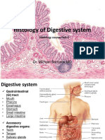 Digestive System