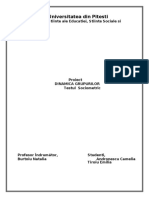 ANDRONESCU TIROIU Test Sociometric 170120 UP PDF