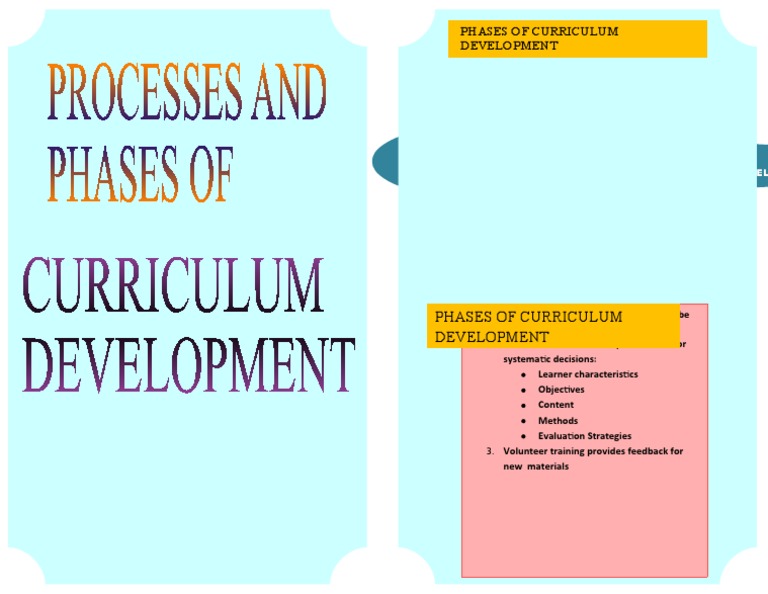Phases of Curriculum Development Guide | PDF