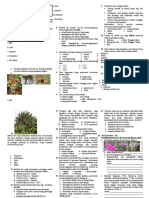 Soal Evaluasi Keanekaragaman Makhluk Hidup
