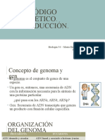 17 - Cod Genetico - Traduccion (3) .PPTX - 0