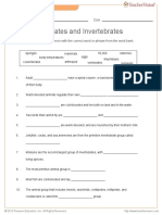 Vertebrates and Invertebrates: Directions: Complete Each Sentence With The Correct Word or Phrase From The Word Bank