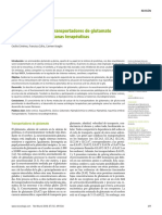 Glutamato y Glicina PDF