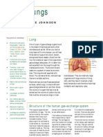 Lung Summary Leaflet