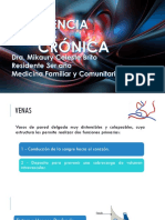 INSUFICIENCIA VENOSA BRITO R3 .pdf