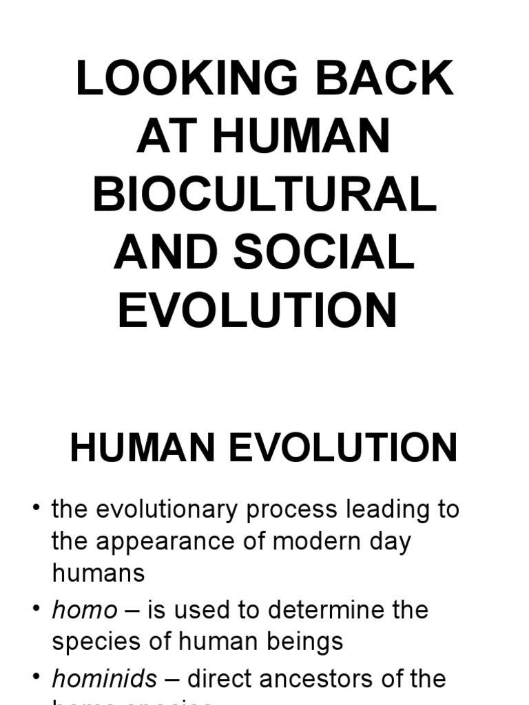 Overview of Human Evolutionary Stages | PDF | Homo | Paleoanthropology