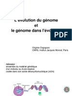 Genome Evolution