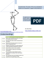 PPT - 11.2 Movement.pdf