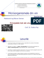 Microorganismele Din Vin