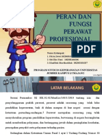 Peran Dan Fungsi Perawat Profesional