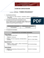 a.-CRONOGRAMA DE CURSO  VIRTUAL  DE CRIMEN ORGANIZADO.pdf