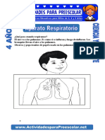 Aparato Respiratorio para Niños de 4 Años