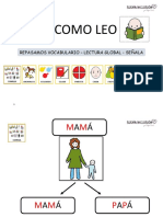 Lectura Global Senalar PDF