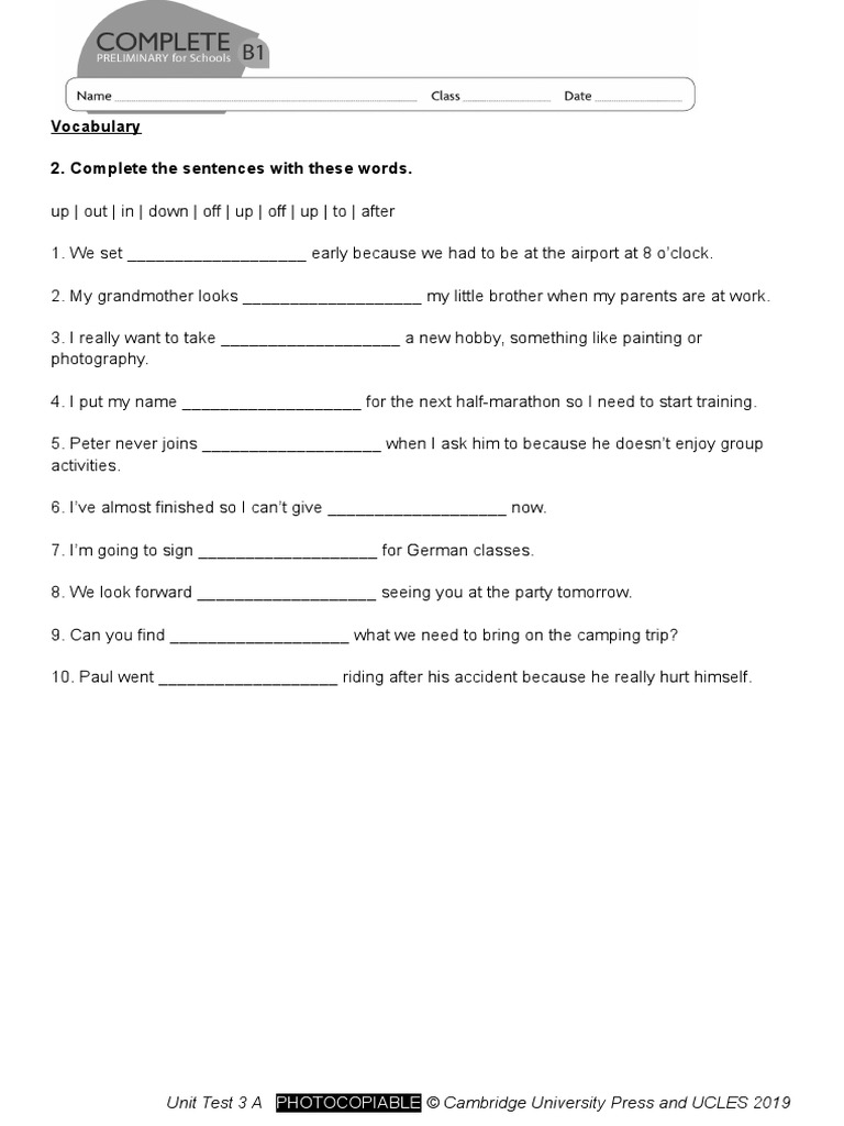 Vocabulary 2. Complete The Sentences With These Words.: Unit Test 3 A | PDF