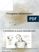 Principales estiramientos.pdf