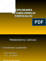 GENERALA 11 - Fosfocalcic