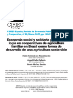 Schwab_et_al 2020 Econ social y solid coop FA Brasil