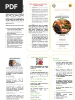 TRIPTICO NUTRICION