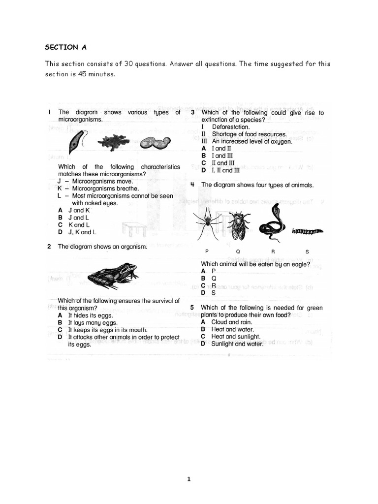 30 Question Assessment Guide | PDF
