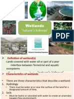 Wetlands BP
