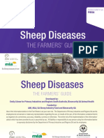 Sheep Diseases the Farmer Guide