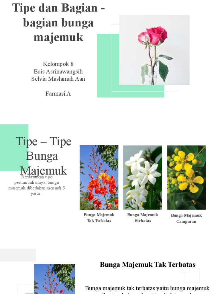Tipe Bunga Majemuk Morsistum Pdf