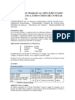 Informe de Trabajos Ejecutados - Cunetas