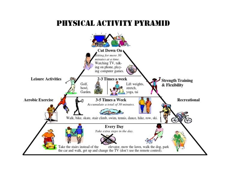 Physical Activity Pyramid Overview | PDF