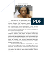 Homo Floresiensis