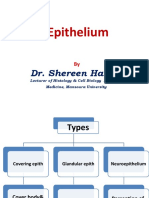 2 Stratified Epithelium PDF