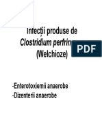 Infectii cu Cl perfringens.pdf