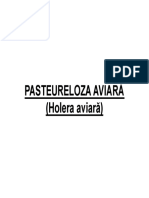 Pasteureloza Aviara PDF