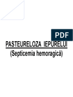 Pasteureloza Iepurelui PDF