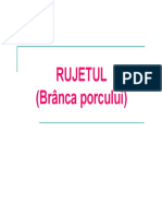 RUJET