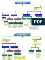 Clases Sociales en Roma