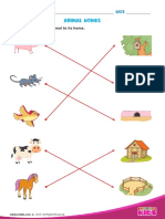 A 2 Animal-Homes PDF