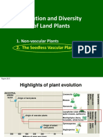 Pteridophytes PDF