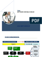 Software Sistema Contable Concar PDF