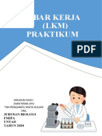 MICROSCOPY LABORATORY OBSERVATION DOCUMENT