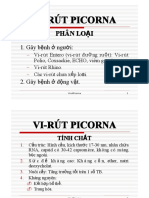 VirutPicorna PDF