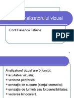 Pasenco - Functiile Analizatorului Vizual