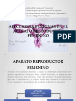 AFECCIONES BENIGNAS EN EL APARATO REPRODUCTOR FEMENINO.pptx