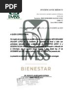 Justificante Médico 